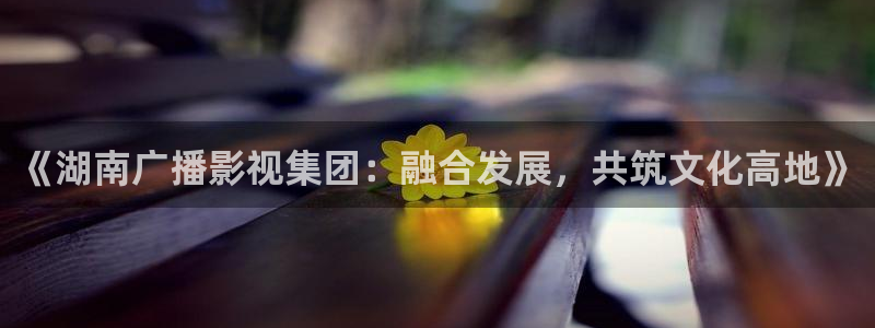 樱桃视频app在线下载：《湖南广播影视集团：融合发展，共筑文化高地》