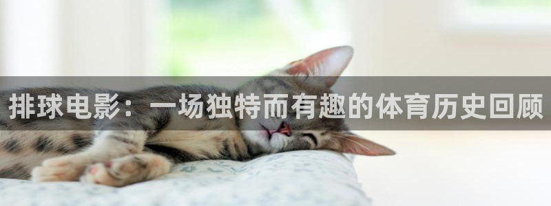 樱桃什么视频：排球电影：一场独特而有趣的体育历史回顾