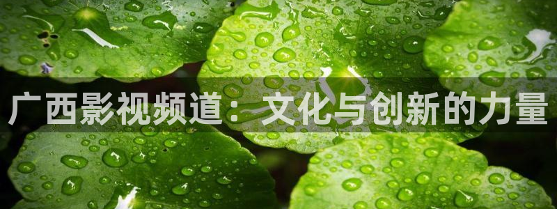 樱桃电视剧全集播放免费视频观看：广西影视频道：文化与创新的力量