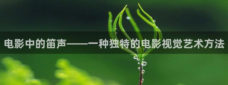 樱桃在线观看大全：电影中的笛声——一种独特的电影视觉艺术方法