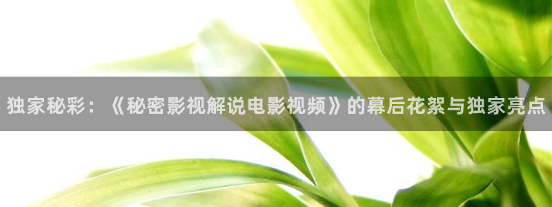 樱桃草莓：独家秘彩：《秘密影视解说电影视频》的幕后花絮与独家亮点