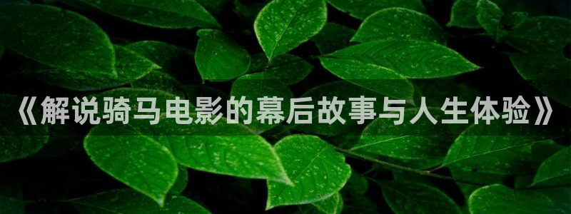 樱桃怎么酿酒视频：《解说骑马电影的幕后故事与人生体验》