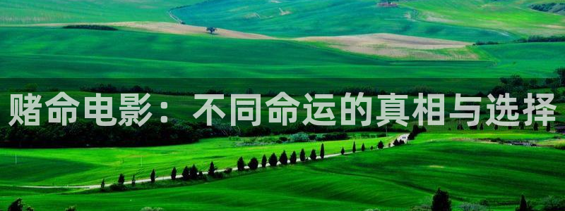 樱桃的小视频：赌命电影：不同命运的真相与选择