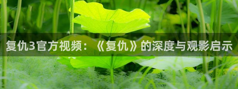 樱桃小视频的视频.：复仇3官方视频：《复仇》的深度与观影启示