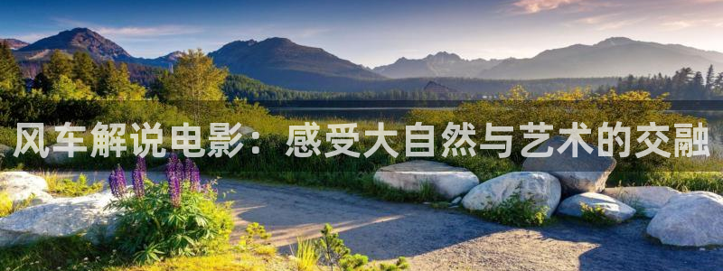 樱桃视频在线下载