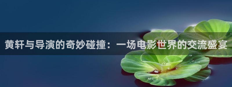 樱桃小视频的视频.
