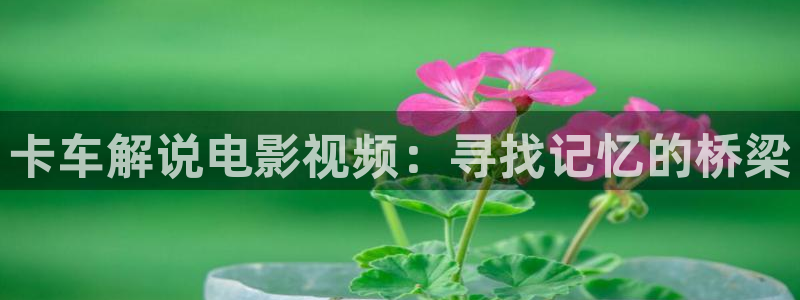 樱桃视频m