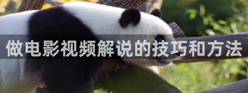 樱桃视频观看免费下载