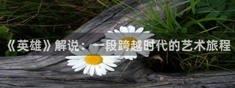 樱桃视频19p