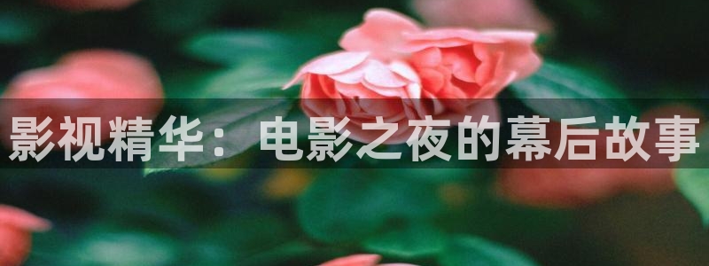 樱桃视频看看