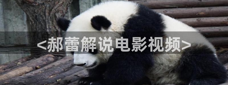 樱桃视频午夜