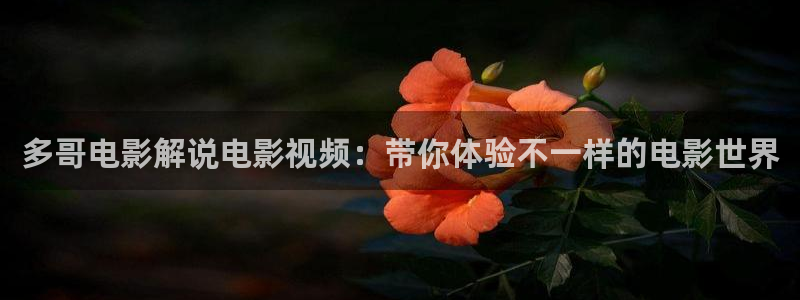 樱桃视频入口免费观看