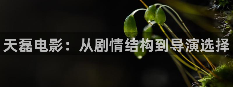 樱桃视频免费高清版观看