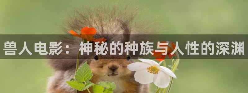 樱桃下载