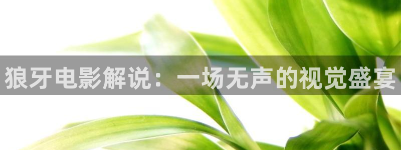 樱桃酱的制作方法视频
