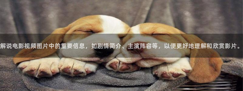 大樱桃种植视频