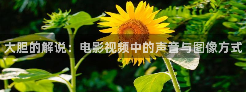 樱桃红电视剧在线观看高清
