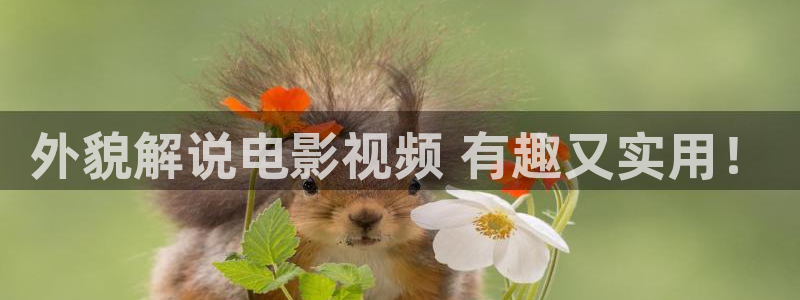 樱桃视频免费视频