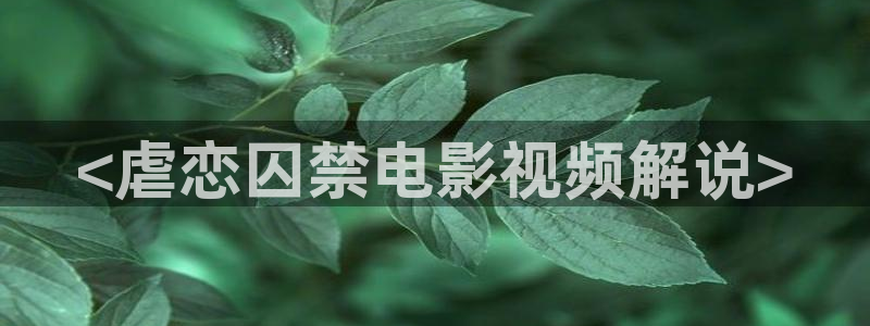 樱桃视频app 下载