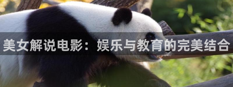 樱桃视频大