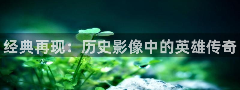 樱桃视频大全免