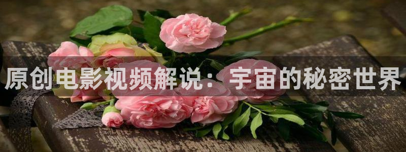 大 樱桃