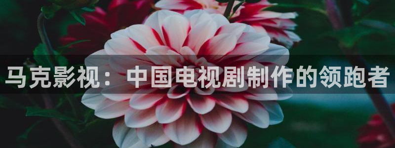 樱桃免费视频.