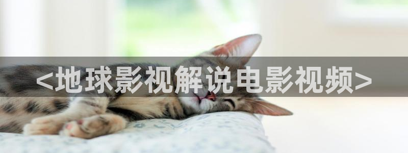 樱桃导航视频在线