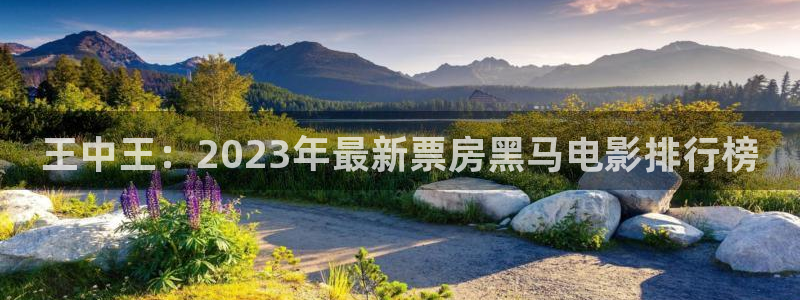樱桃影院视频区