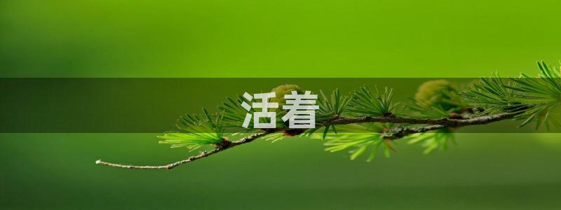 四虎成人影院樱桃视频