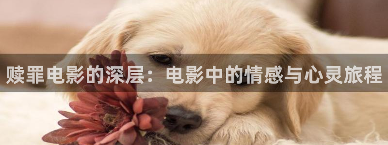 樱桃视频直播免费观看